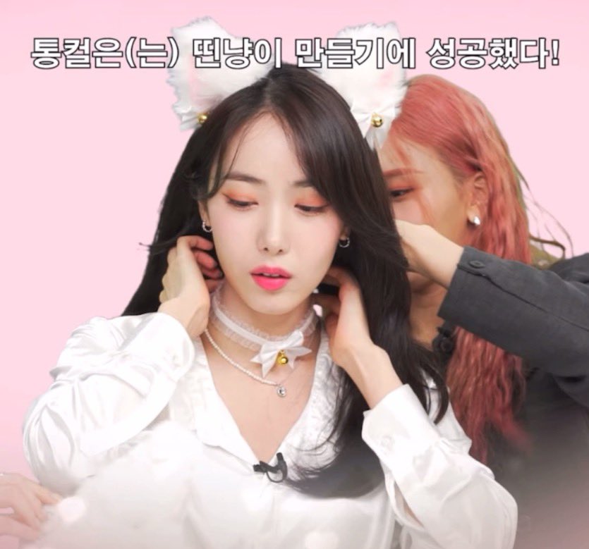 2gjjyy's tweet photo. 그녀의 고양이 https://t.co/S8Ig9iZs8K