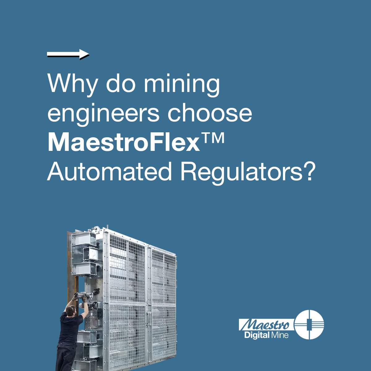 Maestro Digital Mine tweet media