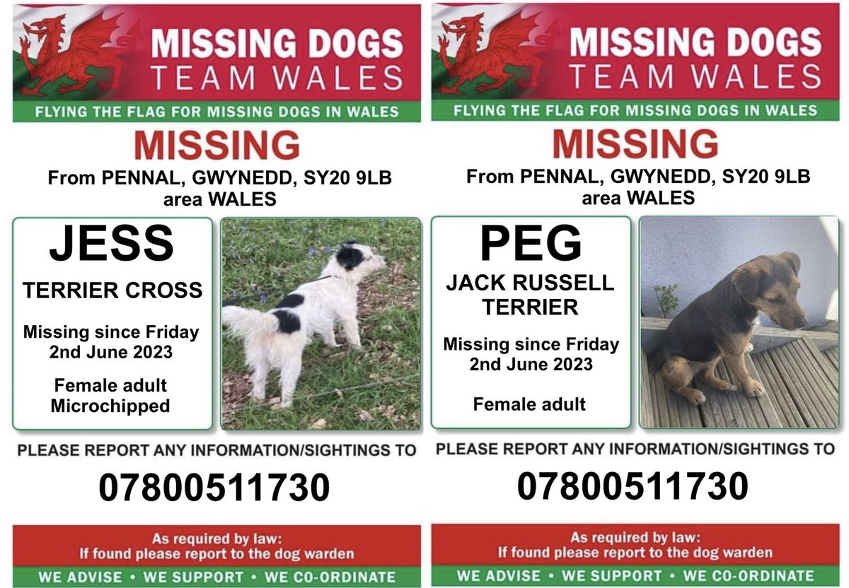 missingdogwales's tweet image. ‼️BOTH JESS AND PEG ARE MISSING FROM #PENNAL, #GWYNEDD, #SY20 9LB area #WALES since Friday 2nd June 2023
‼️Please keep a lookout for them and share in all areas due to there not being one sighting of them.
‼️Please ring number on poster with any information