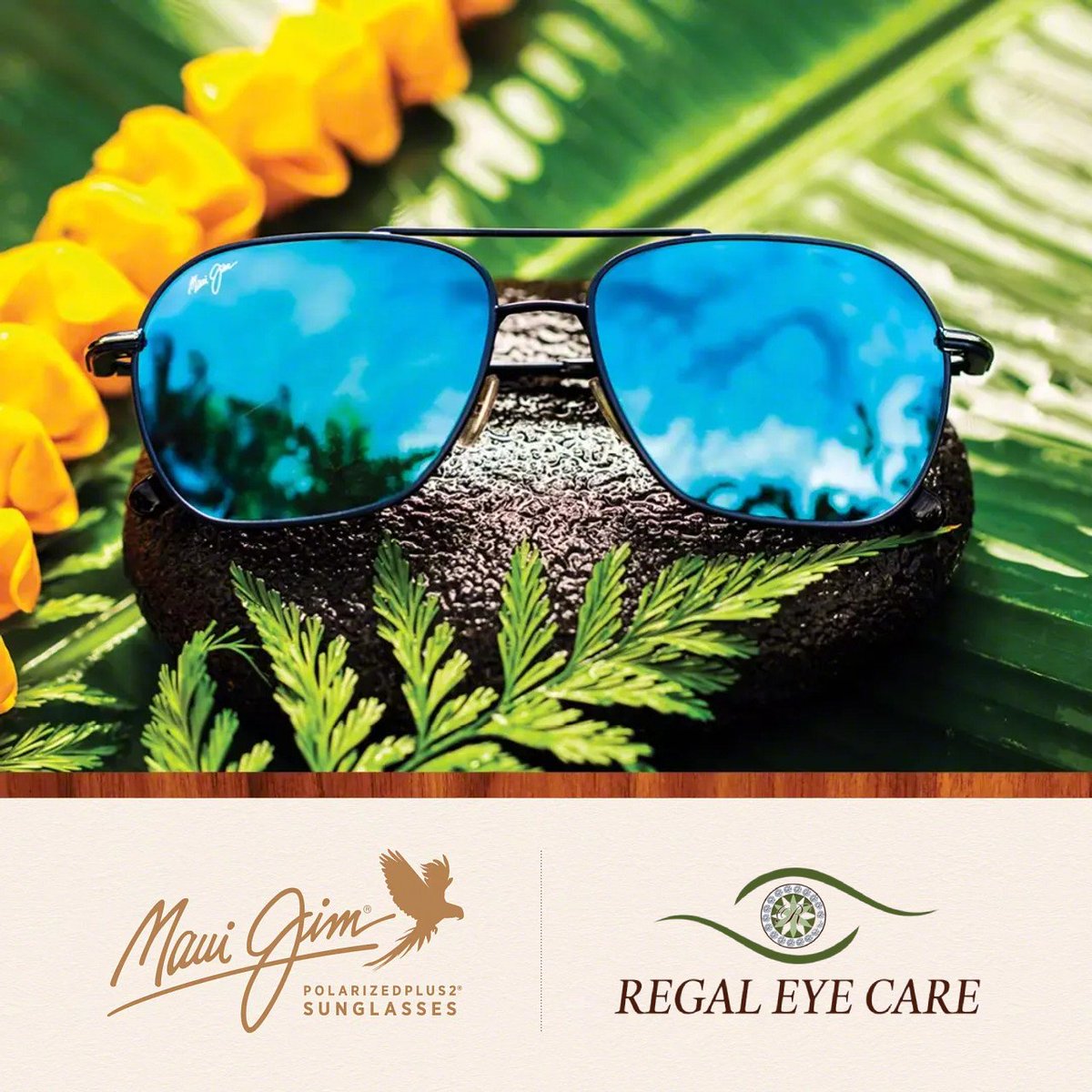 regaleyecare's tweet photo. Discover Maui Jim, as one of the world's foremost purveyors of lightweight, durable, and high quality polarized sunglasses. Available at Regal Eye Care. https://t.co/jXd44t8wPc
