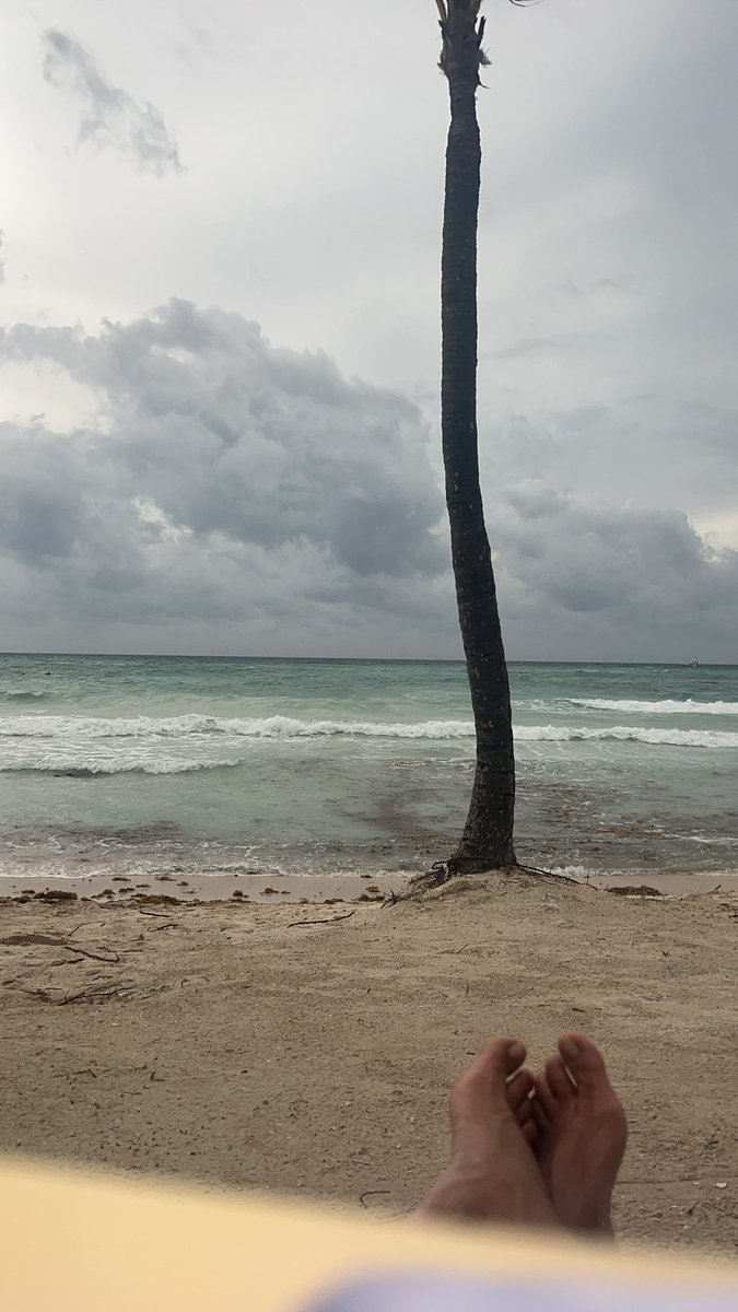 lharpper's tweet photo. #onlineschool Some people choose #homeschool others #boardingschhol I choose #beachschool @WallaUniversity #SPED #515 #540 #ThankYou #profesors 💙💚 https://t.co/pHNOpzGF6a