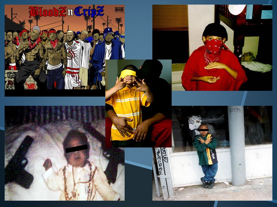 Fred Fingered tweet media