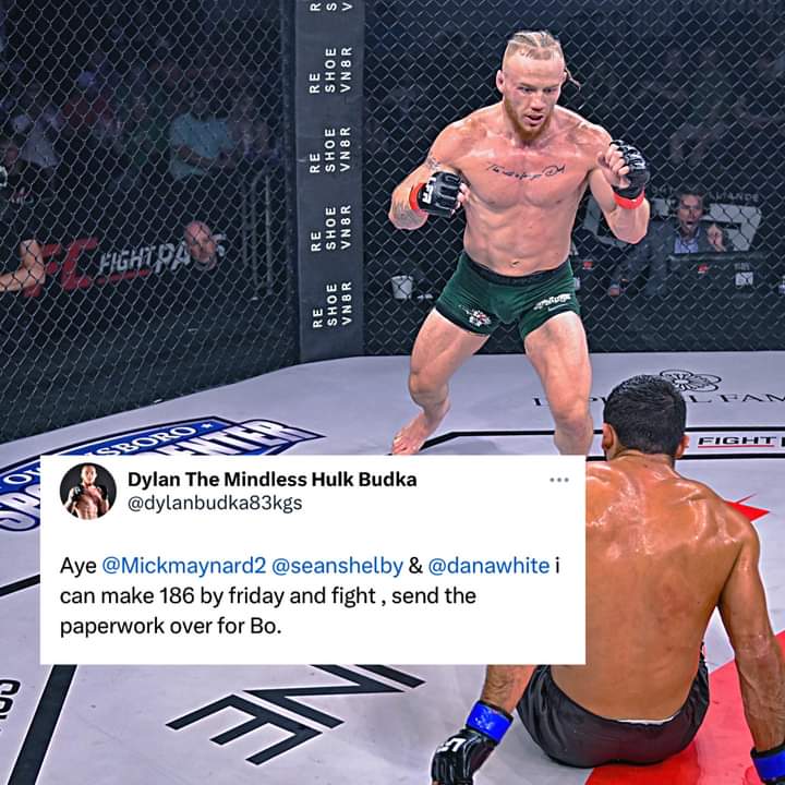TinyHuffman91's tweet photo. @mickmaynard2 @seanshelby @danawhite @ufc https://t.co/tWn5QYNjPr
