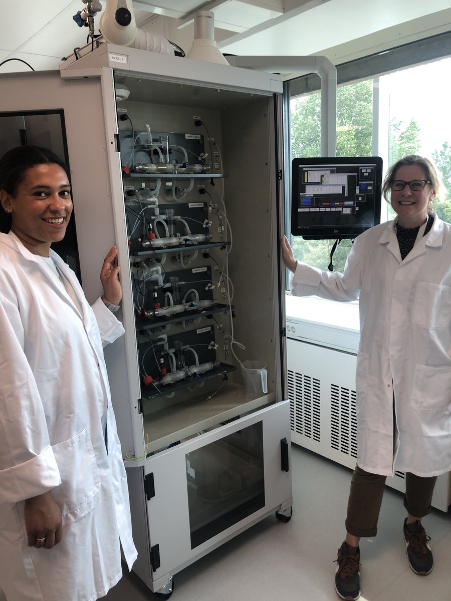 Hannah Batchelor tweet media