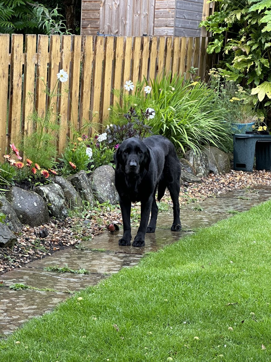 barbara clark tweet media