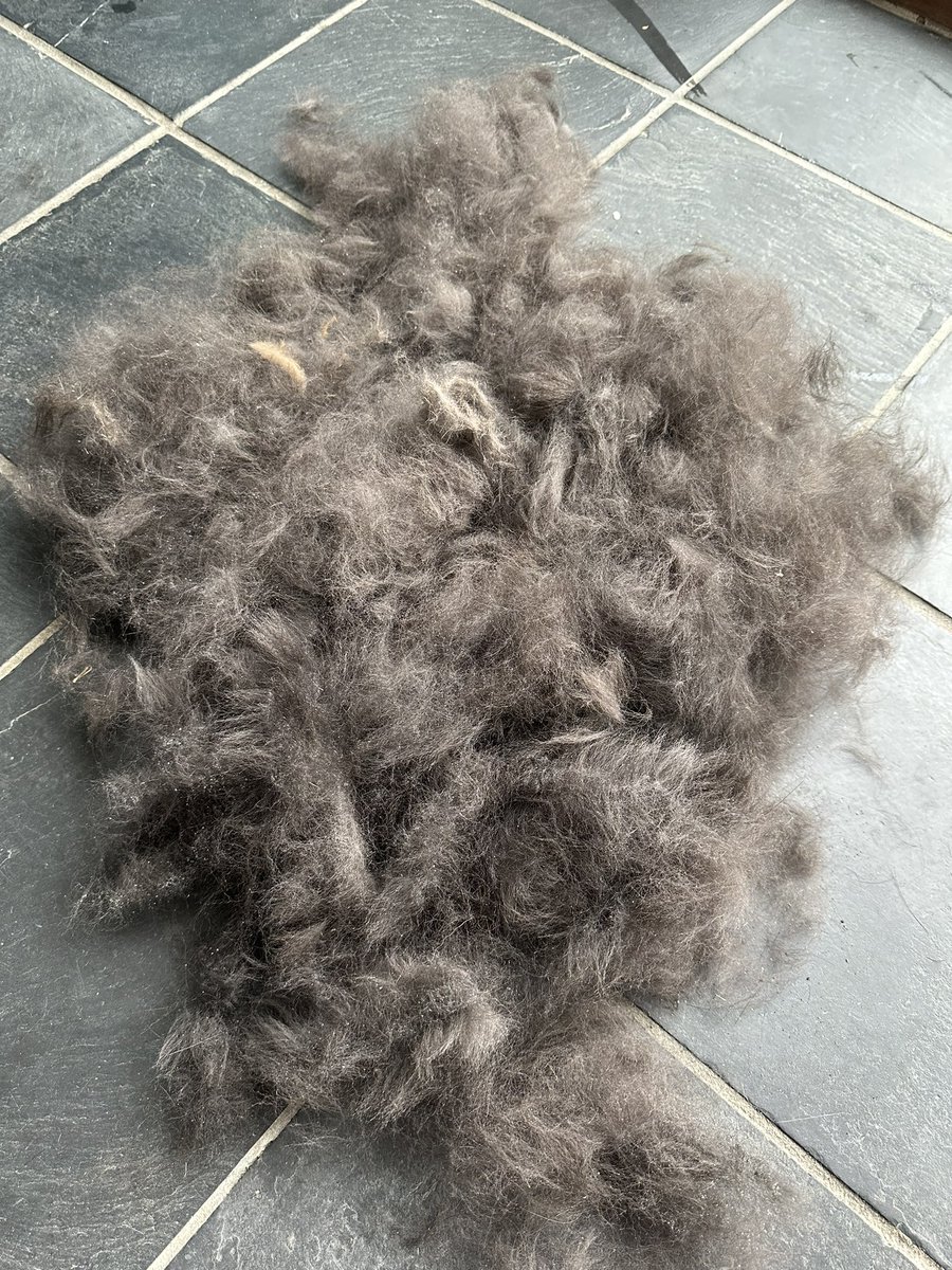 barbara clark tweet media