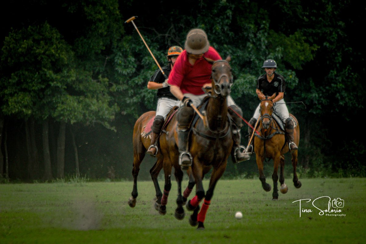 msHanane68's tweet photo. #polo #dallas #DallasTexas #DallasTX #horses #photography #PhotographyIsArt https://t.co/iEP44QNlf8