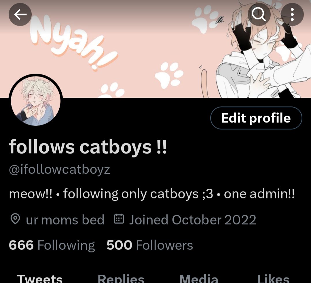 tysm for 500!!!