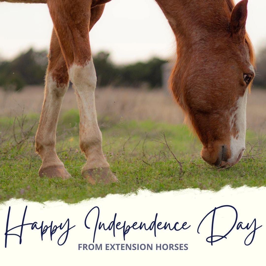 Happy 4th of July!🇺🇸 We hope you have a safe and wonderful holiday!💥