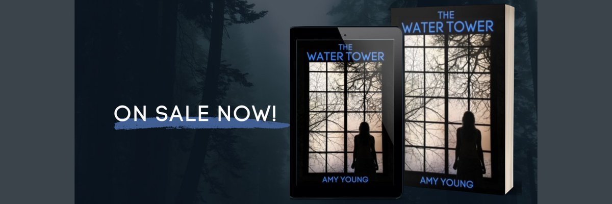 ITW Debut Authors Program tweet media
