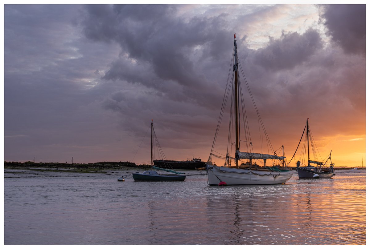 Shaun Mills tweet media