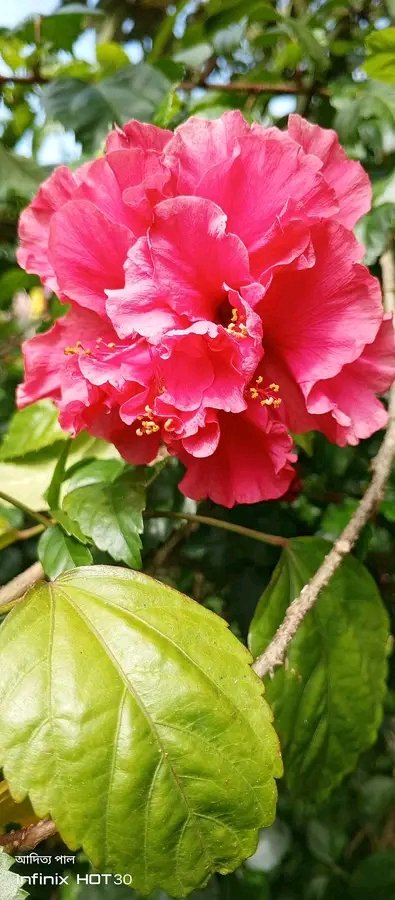 তুমি সুন্দর