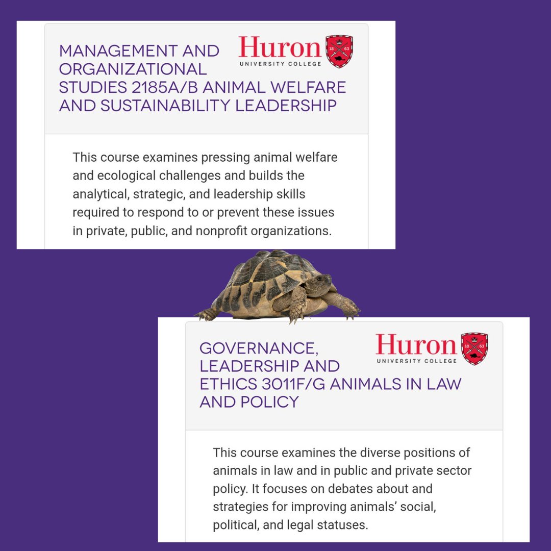 To say I'm excited for the year ahead would be an understatement. @huronatwestern now also offers PHIL 3725, the first entirely animal ethics focused philosophy course at any of the Western campuses. Join us! #DefendingAnimals #LeadersWithHeart #Headed2Huron #thefutureishumane