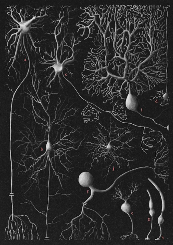 Y seguimos con más #premios
En la 10. Edición del concurso <a href="/illustraciencia/">ILLUSTRACIENCIA</a> #MaddiAstigarraga, alumna egresada de la 4º promoción, ha sido la ganadora de  la categoría #Cajal 

Ver: blog.illustraciencia.info/2023/04/maddi-…

Berrria: mncn.csic.es/es/visita-el-m…