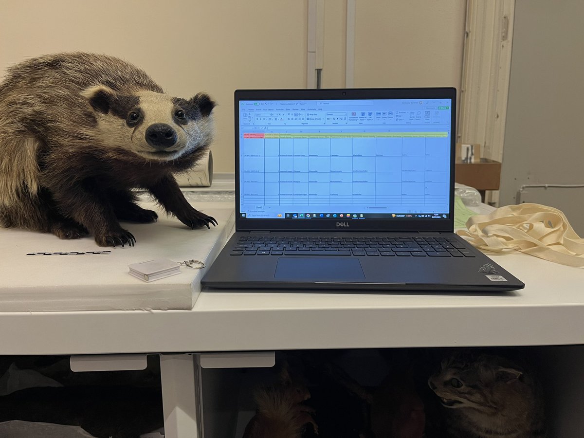 Wednesday Batchelor tweet media