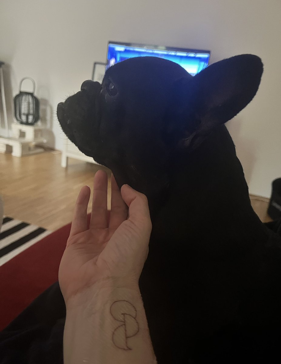 LemmyBulldog's tweet photo. Frauchen hat ein neues Tattoo. #optink #organspende #widerspruchsregelung #jungehelden https://t.co/RSeqirwg9M