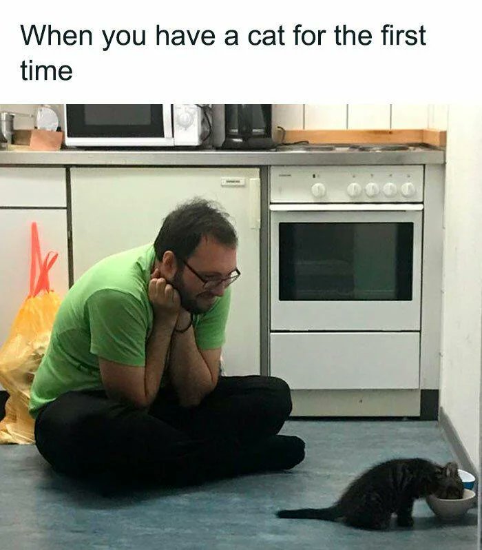 WholesomeMemes tweet media