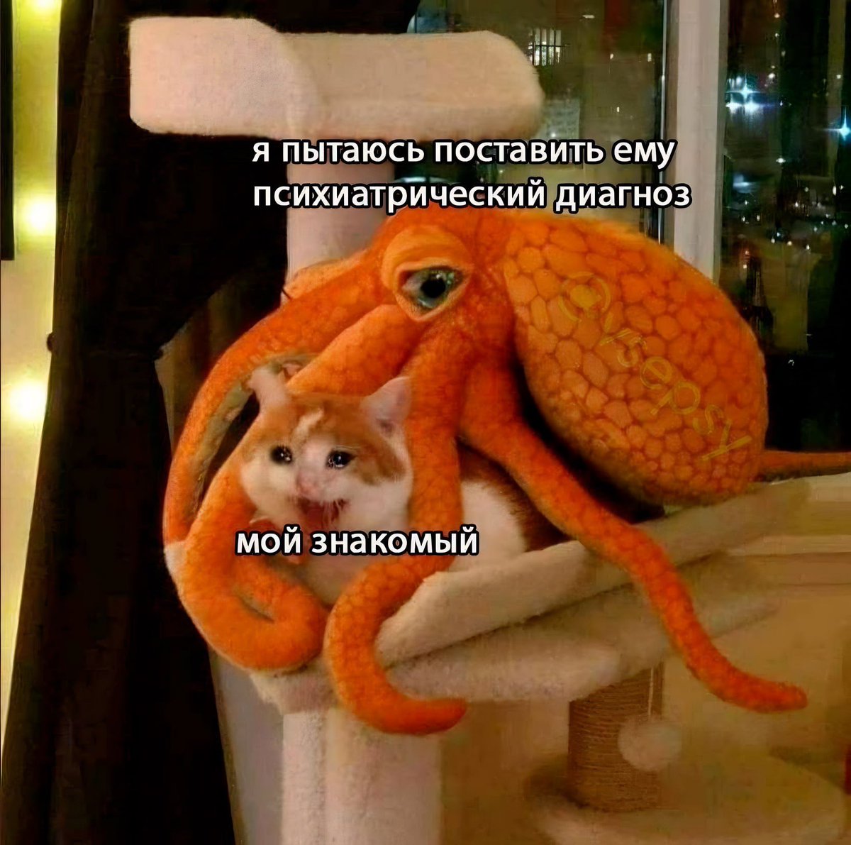 Жиза или шиза 🤔