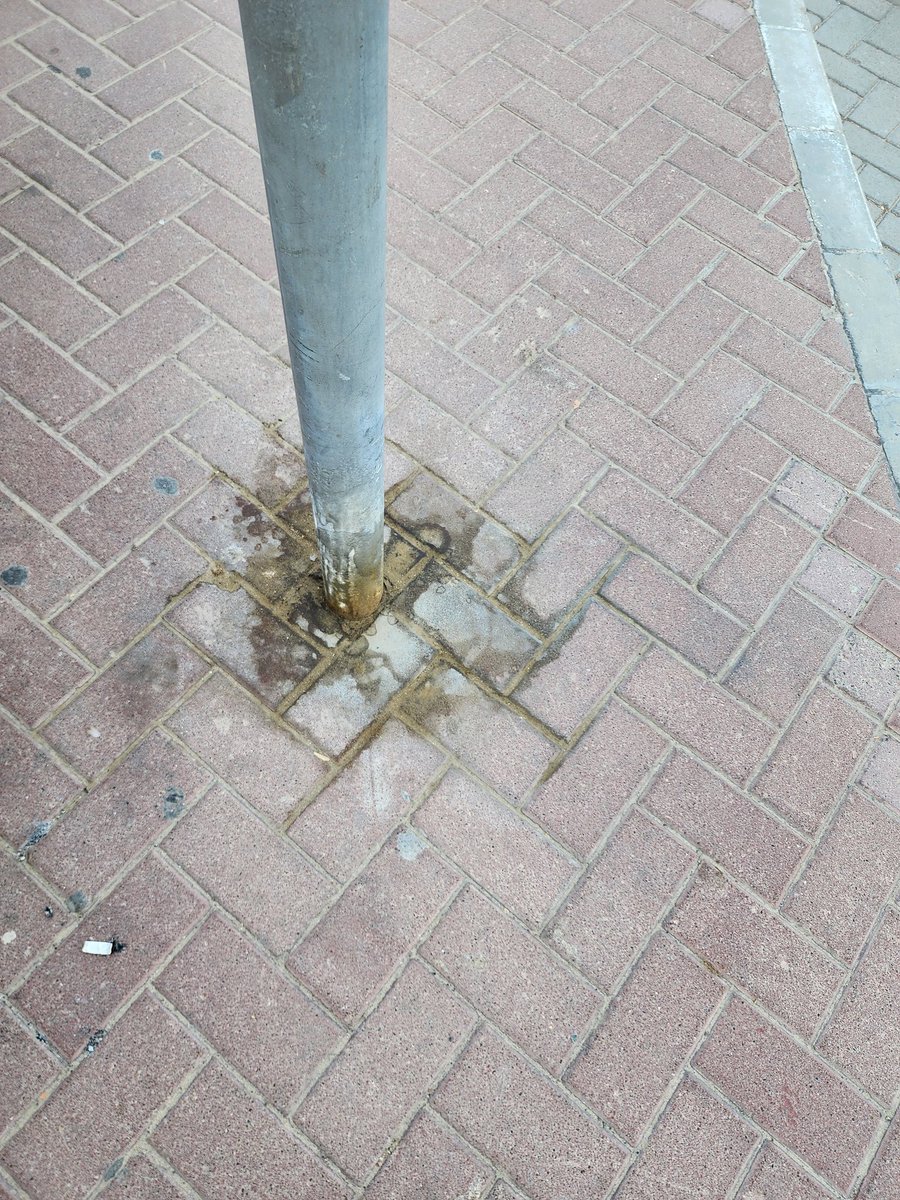 Once upon a time, the streets on  Sheikh Zayed Road  were a treat to walk on. Sadly, due to  some irresponsible pet owners, it has become so difficult  to walk on that road. Hope some kind of sense prevails on these people. <a href="/DubaiMunicipal2/">Dubai Municipality</a> <a href="/DubaiPoliceHQ/">Dubai Policeشرطة دبي</a>