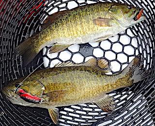 FiresideFish's tweet image. conta.cc/3CUBeKw
Double Your Fishing Pleasure at Fireside Lodge Fishing Flash Update 4
conta.cc/3XAfHQY