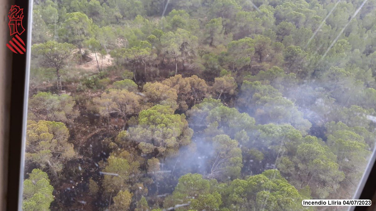Emergències 112CV (@gva112) on Twitter photo (19:20h) Actualització #IFLlíria
➡️Els <a href="/BombersValencia/">Bombers Consorci VLC</a> l'han donat controlat a les 19:11h.
➡️Desmobilitzats els mitjans aeris i la unitat helitransportada de <a href="/GVAbforestals/">Servei Bomber(e)s Forestals GVA</a>.
📷de l'incendi a les 17:45h⤵️ (19:20h) Actualització #IFLlíria
➡️Els <a href="/BombersValencia/">Bombers Consorci VLC</a> l'han donat controlat a les 19:11h.
➡️Desmobilitzats els mitjans aeris i la unitat helitransportada de <a href="/GVAbforestals/">Servei Bomber(e)s Forestals GVA</a>.
📷de l'incendi a les 17:45h⤵️