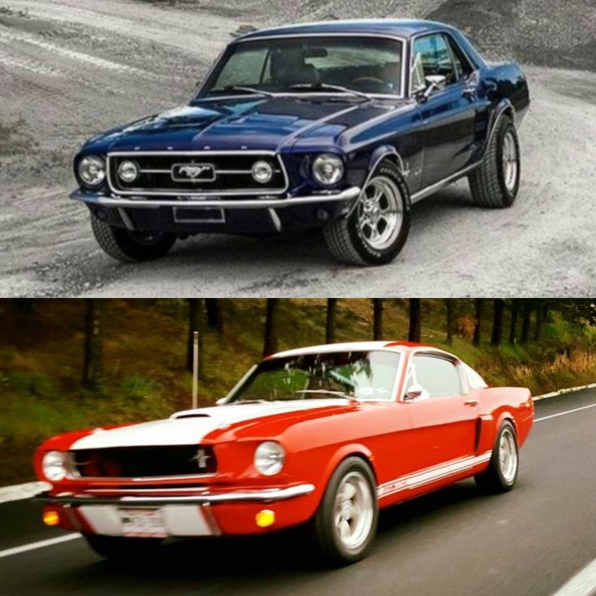 MustangRMX's tweet photo. #MRM #ANCM #KRMC #mustanglatam #itsmustangs #familymustang #slammedstangs #worldofmustang #mustang #v8werk #V8 #kor6 #prmseguros #RevistaSomosCustom #dgrtriumph https://t.co/xBuDFWVr1c