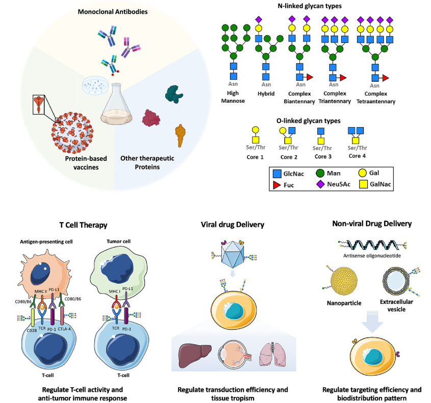 Nathan Lewis tweet media