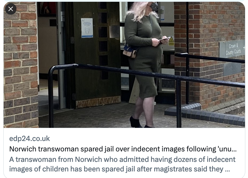 LilyLilyMaynard's tweet photo. Now they can't place male sex criminals in women's prisons, they're just letting them go instead.
The judge said 'Tanya's' hard drive showed dozens of kids "subjected to horrific acts" but the guy walked with a suspended sentence- because he says he's a woman
https://t.co/11Ty4Yv06W