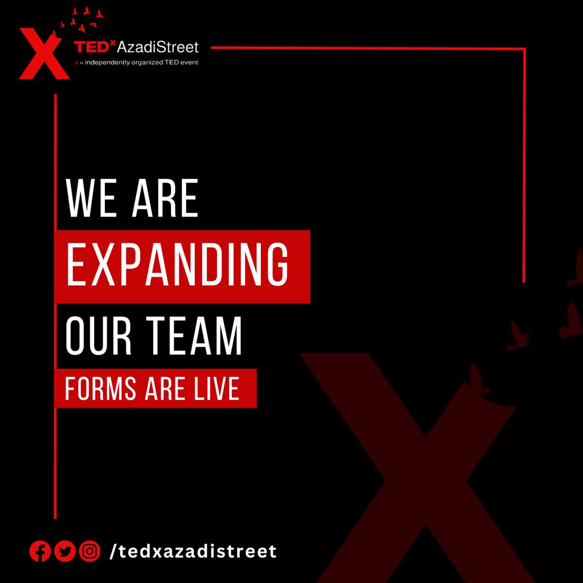 justbeingumme's tweet photo. We are recruiting!🙌🏻

https://t.co/luGAvTTu9L

#ted #4thofJuly #tedxazadistreet https://t.co/4B41CoLCdA