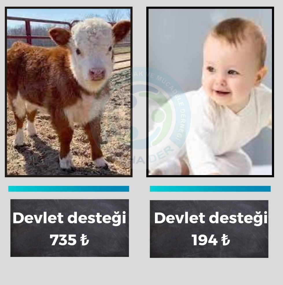 Memura çocuk yardımı güncellenmelidir
TÜİK GERÇEĞİ SAKLAMA
<a href="/SaHaDernegi/">Sağlık Çalışanları Hak Ve Mücadele Derneği</a>
#MemuraİtibarZammı