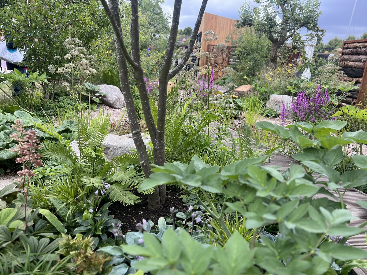 Great morning @RHSHampton today until the rain arrived at lunch time!

#flowershow #RHSHamptonCourt #rainyday #designgarden