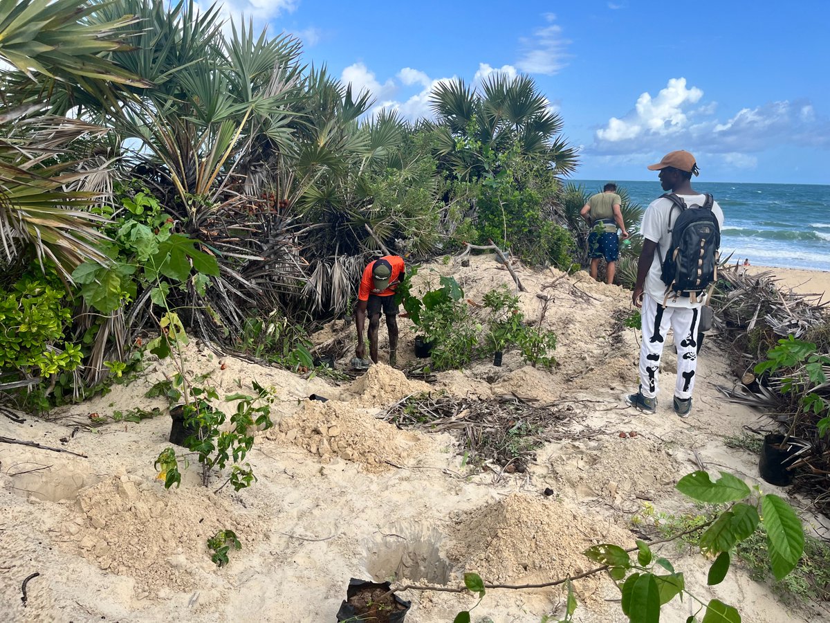 lamu_enviro's tweet photo. 🌿🌍 Earth Love LTD regenerating Amu Dunes for resilience!
🏝️ Shela community joins reforestation efforts.
🌳 Protecting water catchment & coastal ecosystem.
#EarthLove #LamuIsland #ClimateResilience #RegenerationProject https://t.co/56Ds4MRz1w