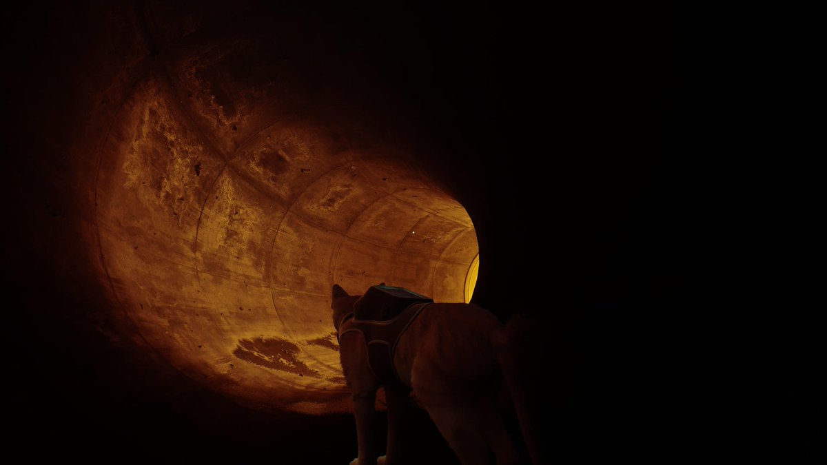 _HakiFC's tweet photo. #PS5Share, #Stray https://t.co/bKeO8GJnBn