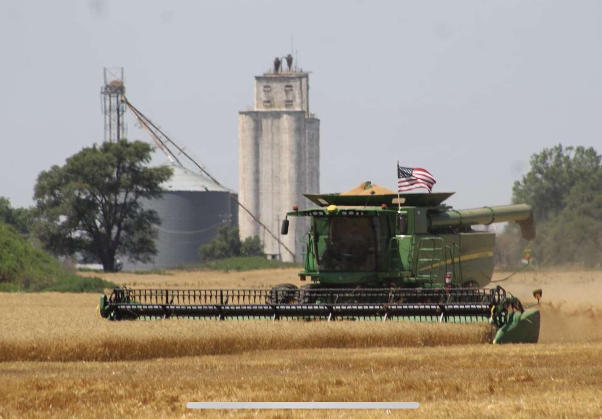 Today we celebrate the freedom for which so many paid the ultimate price. Happy #IndependenceDay from the OWC! 🇺🇸