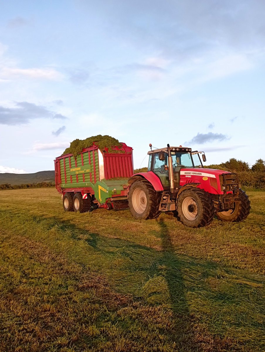 aran_connell's tweet photo. Second cut part 2 between the showers #massey #nohalfloads https://t.co/g6mjPYuuEr