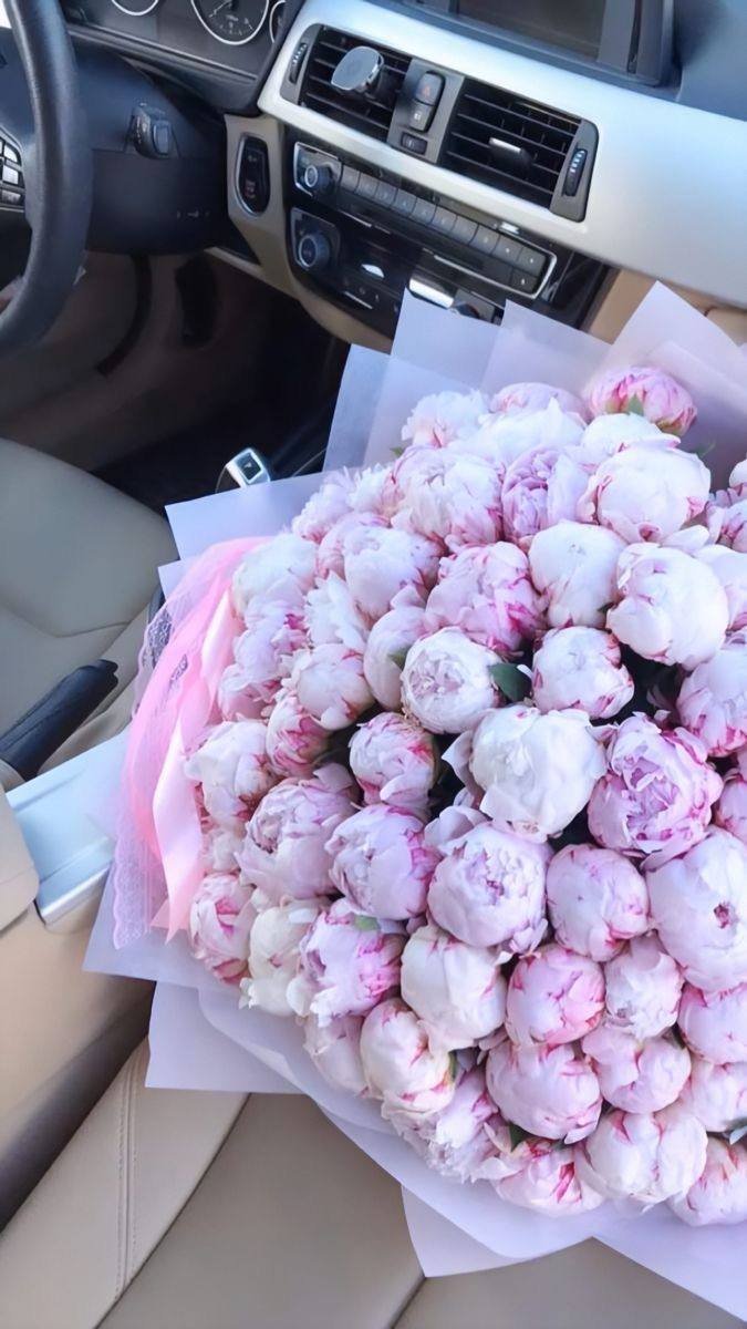 1Qafal's tweet photo. Pink peonies 🌸 https://t.co/Myj3hoNvqI