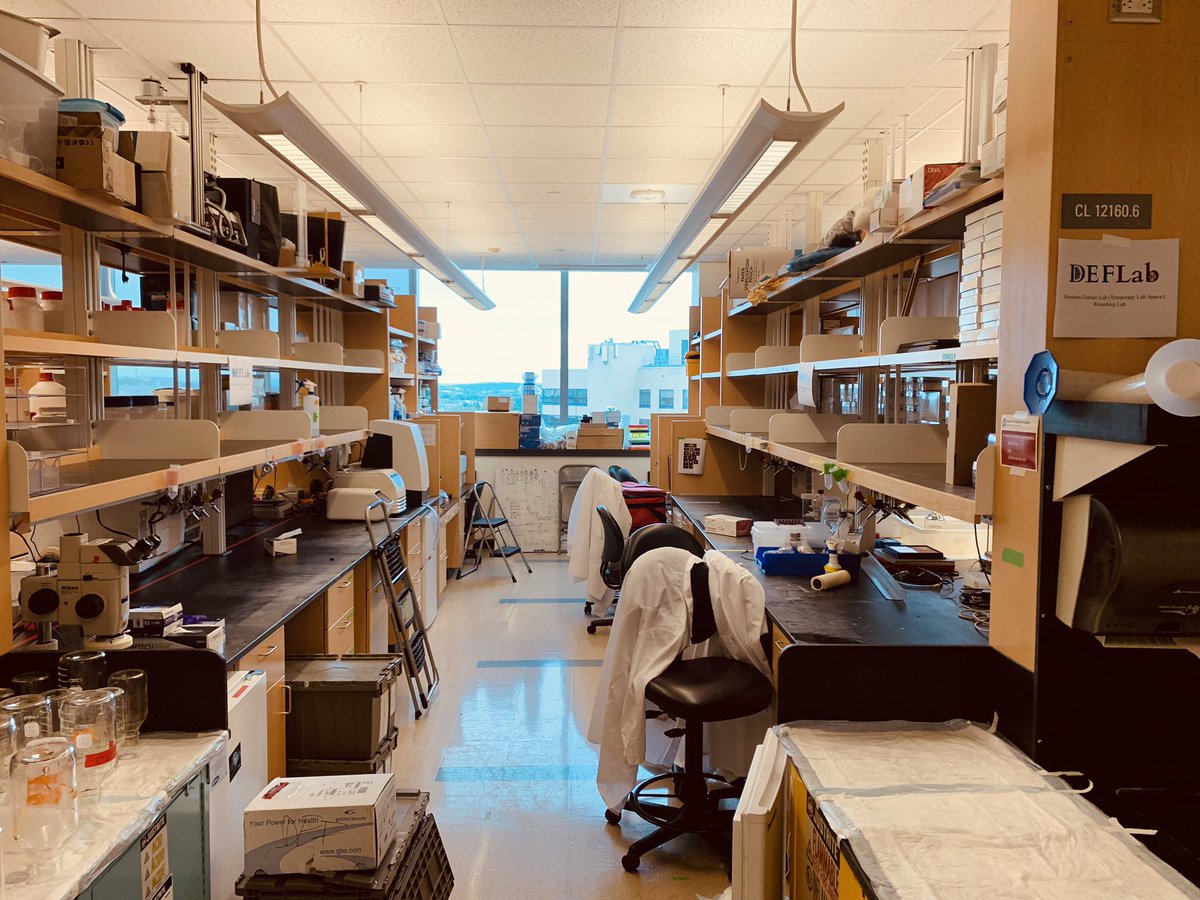 Ebrahimi-Fakhari_Lab (@def_lab_hms) on Twitter photo To new beginnings <a href="/BostonChildrens/">Boston Children's</a> @FMKirbyNeuro <a href="/harvardmed/">Harvard Medical School</a> Exciting times ahead! Upwards and onwards. #neurogenetics #movementdisorders #raredisease To new beginnings <a href="/BostonChildrens/">Boston Children's</a> @FMKirbyNeuro <a href="/harvardmed/">Harvard Medical School</a> Exciting times ahead! Upwards and onwards. #neurogenetics #movementdisorders #raredisease