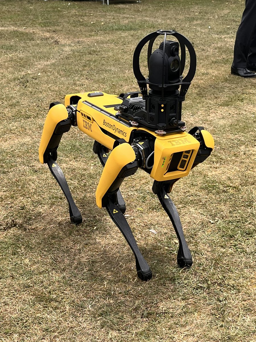 jenny davis tweet media