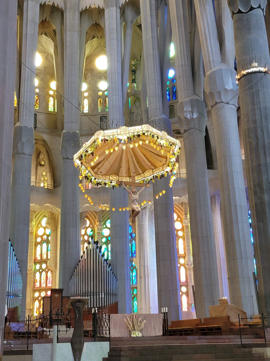 Laura Volpicelli 🇺🇸 tweet media