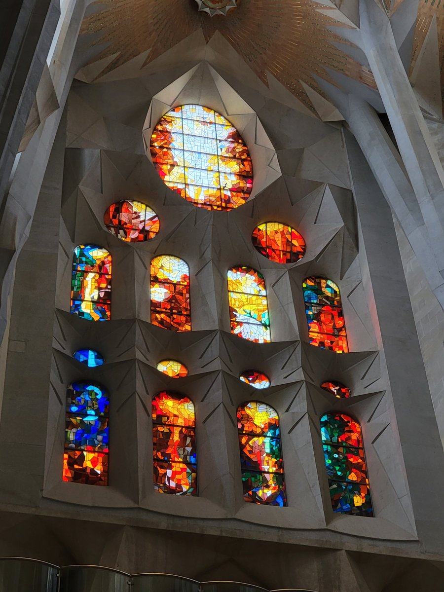 Laura Volpicelli 🇺🇸 tweet media