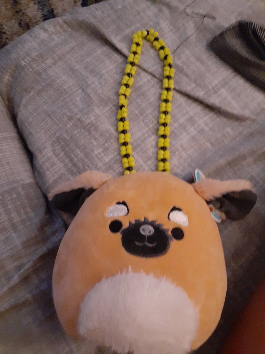 🌈🍃Big Gay Kittydog🍃🌈 tweet media