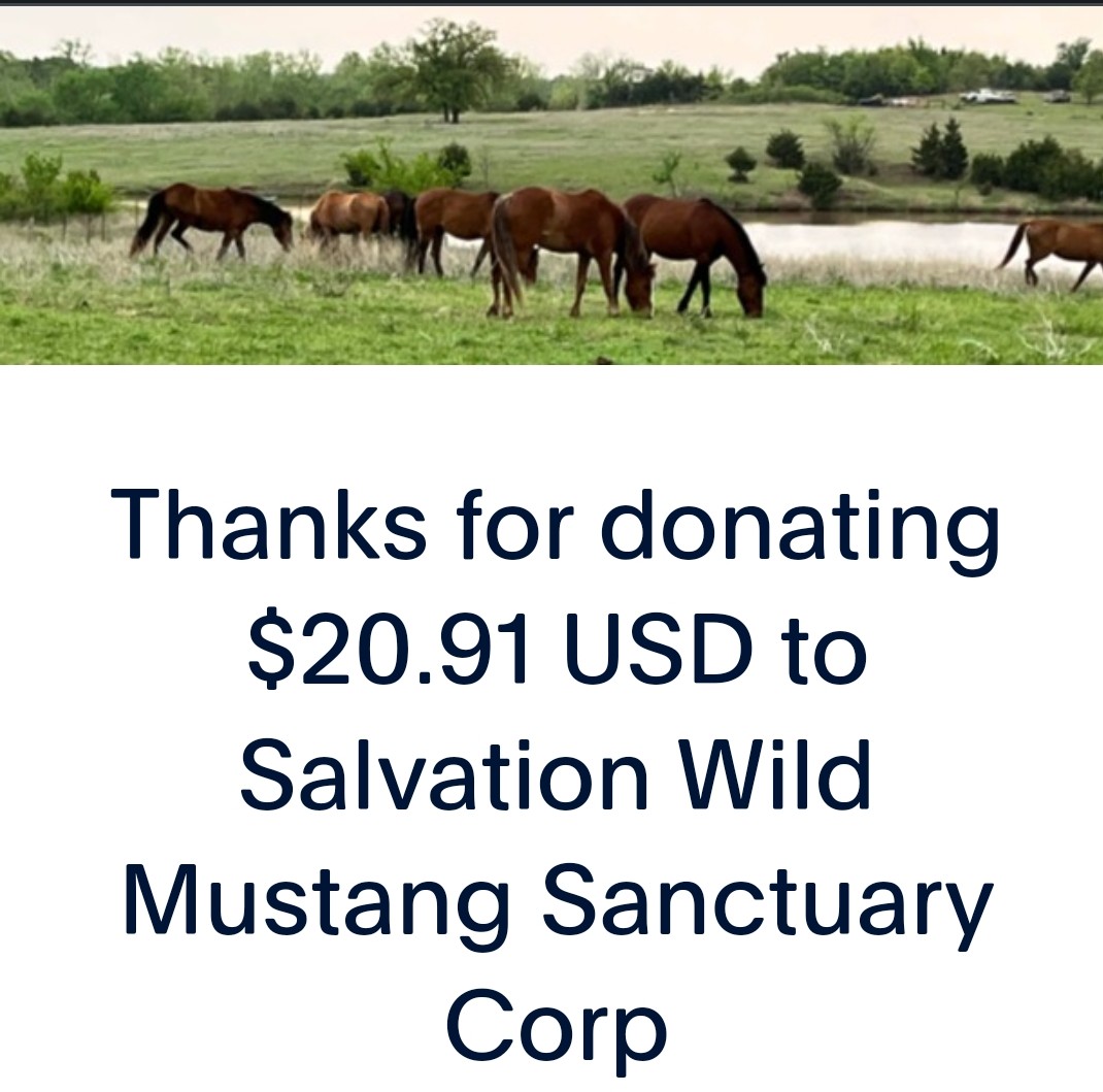 PhaedraXTeddy's tweet photo. PLEASE JOIN ME I just donated a small amount because I want #Sally to have a permanent home for #wildhorses she rescues from #Killpens. I am SO grateful they won't go to #Mexican #slaughterhouses! https://t.co/GsmKyvqAu7