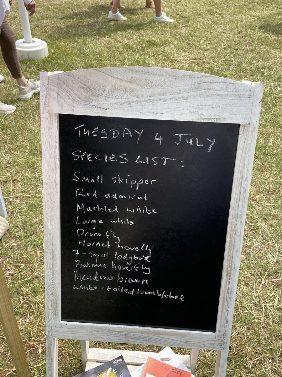CBezzant's tweet image. A visit to #RHSHamptonCourt today. A disappointing and much smaller show than past years, but much joy from all the insects visiting Jo Thompson’s @The_RHS Wildlife garden.  @Kate_Bradbury was that you pointing out small skippers?