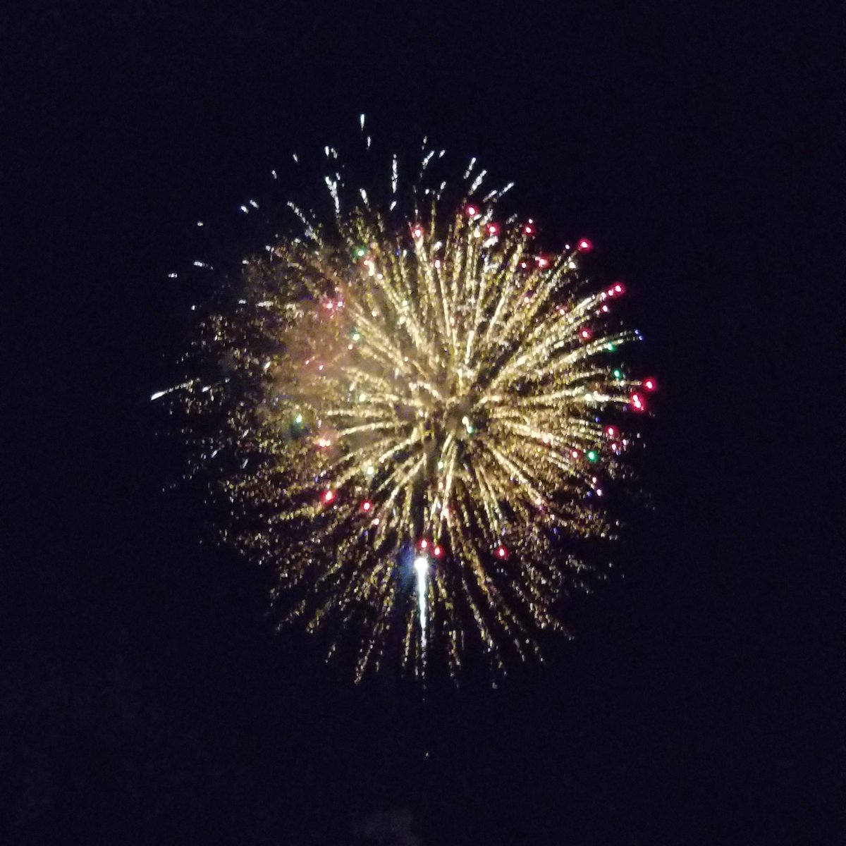 sonyajlewis's tweet image. On this July 4th, I challenge all to keep in mind the personal freedoms and liberties that have been taken away.  #SCOTUS
Their politically skewed and poisonous rulings of late must be overturned. 
So, Let Freedom ring, loud and long in 2023 and in Nov of 2024. 
#SCOTUSReformNow