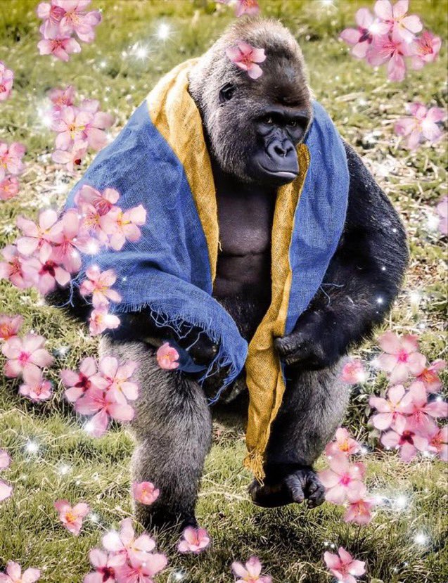 evelynandorno1's tweet photo. A mi los chocolates me chupan 7 hectáreas de huevos tan solo quiero unas medias que digan DALE BOOO CA primer aviso https://t.co/EP0XIjHXc7