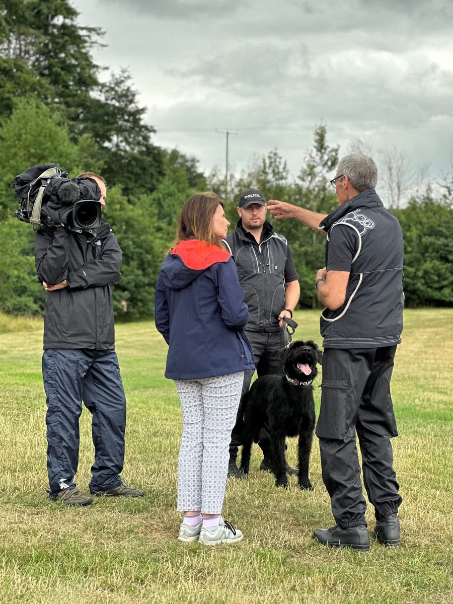 DC_PoliceDogs's tweet photo. Fantastic seeing my boy PD Albert today having not seen him since he left me to start work with John in Plymouth in early April this year. John and PD Albert have already had some great operational results together. Today ITV filmed PD Albert and younger brother TPD Bert. https://t.co/FIecJ0VKYN