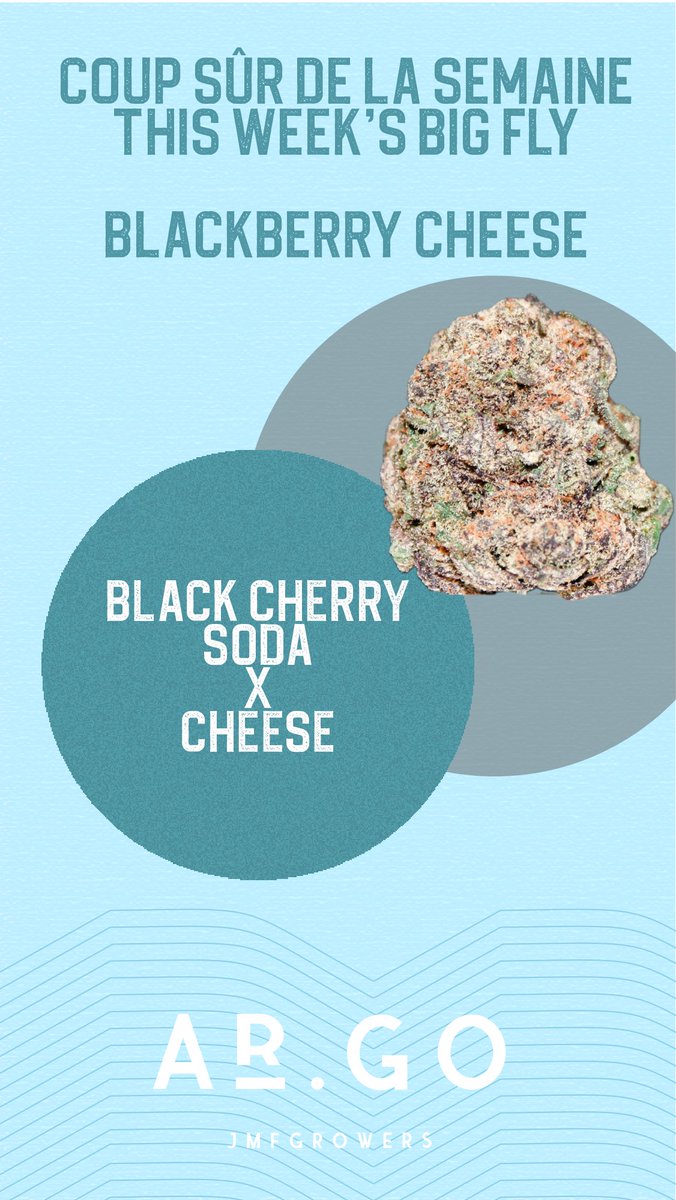 On sale this week on Kuzen.ca !  By <a href="/argobyjmf/">Ar.Go by JMF Growers</a> / <a href="/GrowersJmf/">JMFGrowers</a> 

Want to be a patient with us ? It’s free to sign up! Ask us how today. 

#CannabisCommunity