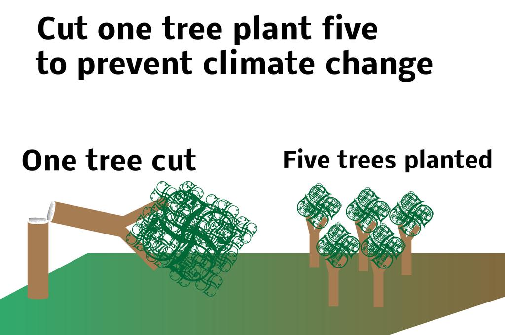 MrElectron12's tweet photo. @UNVolunteers Cut one tree plant Five https://t.co/rZ1MEGpRBT
