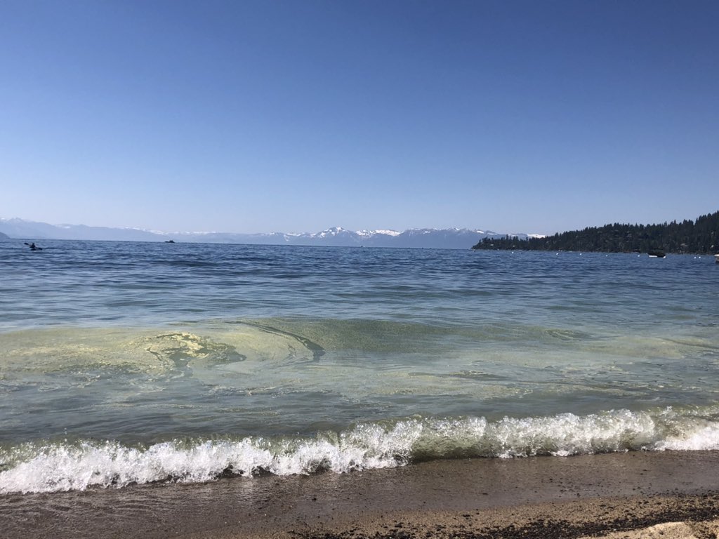 Matt Coviello tweet media