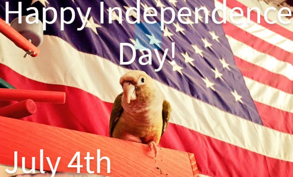 #HappyIndependenceDay ❤️🤍💙